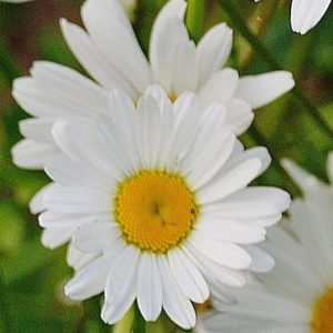 gallery-2.jpg